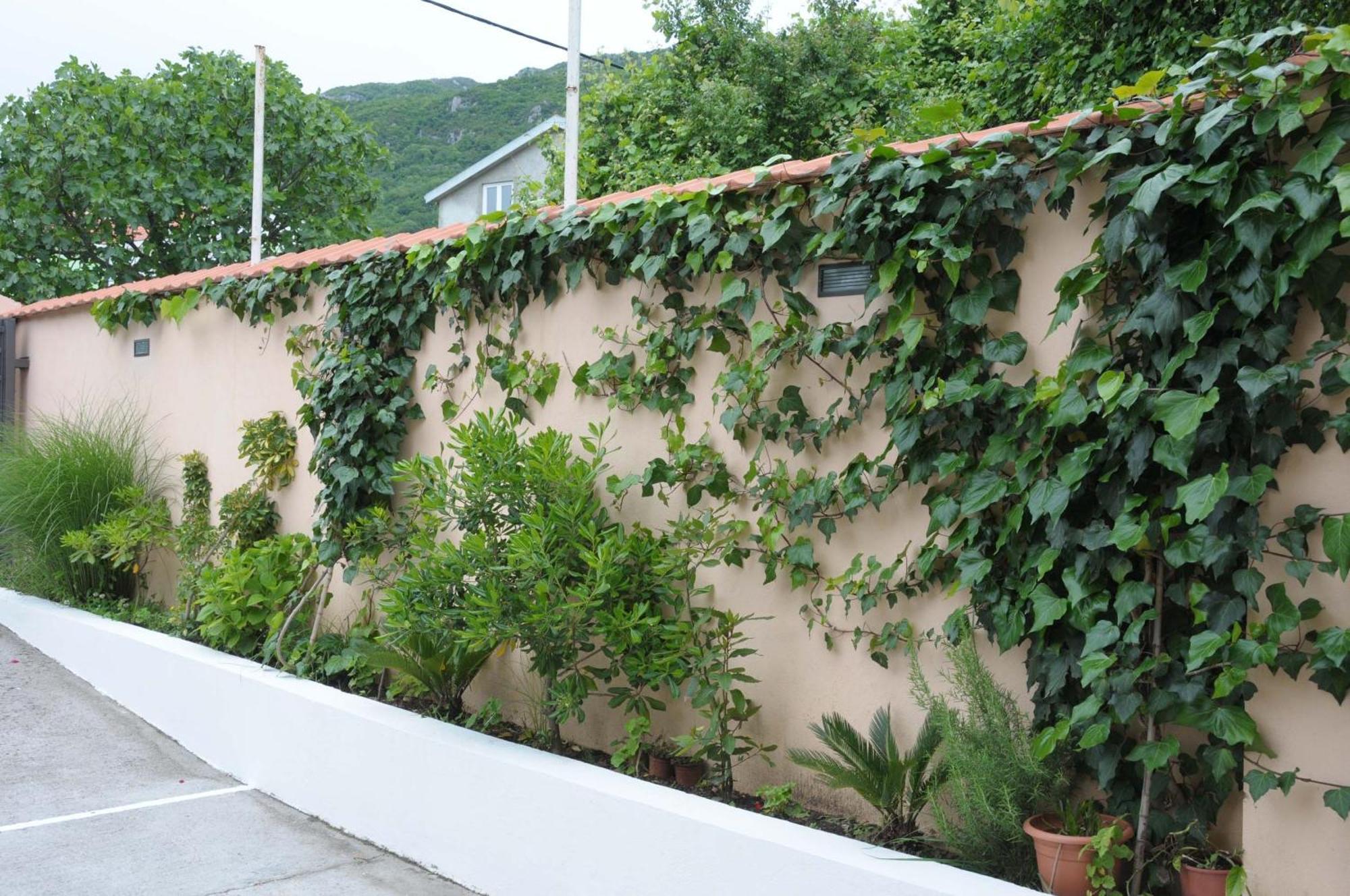 Apartments Royal Budva Luaran gambar